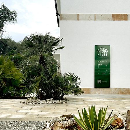 Pinea B&B Castellaneta Marina Exterior photo